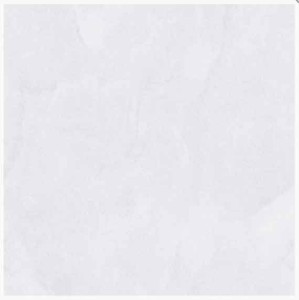 پرسلان ستاره میبد | مدل نازیک